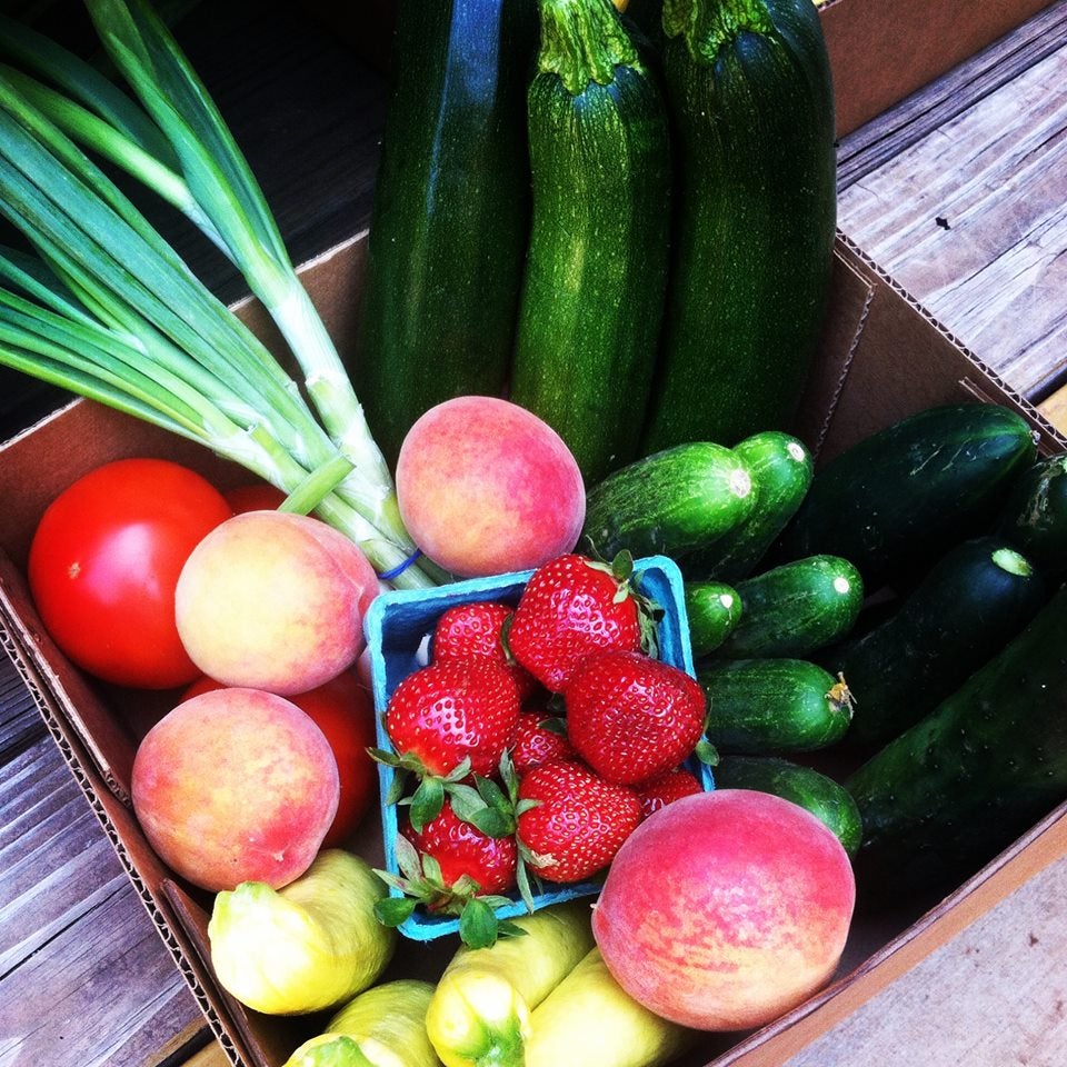 Community Supported Agriculture (CSA) Program Springs Farm